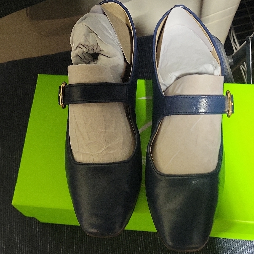 Sam Edelman Mary Jane Navy Flats with Gold Buckle